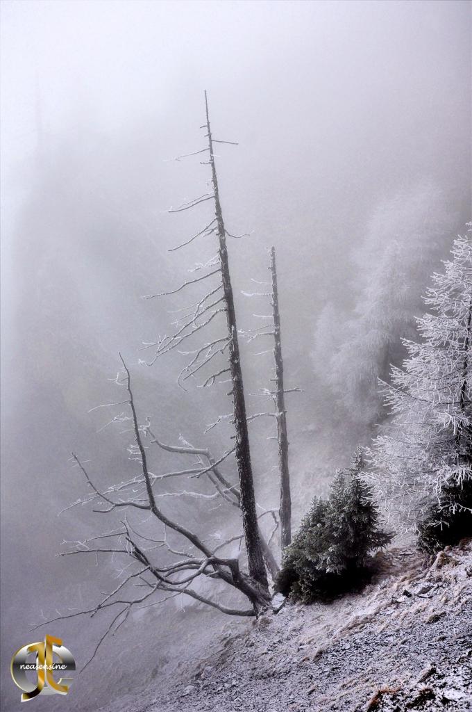 Grisaille dans la montagne