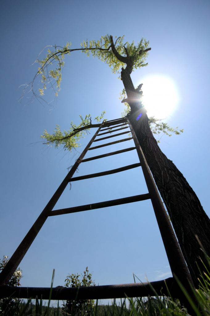 La montée au ciel