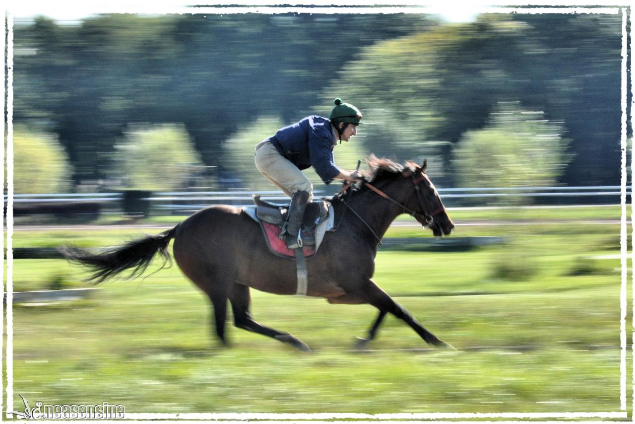 Un petit trot sur l'hippodrome de Divonne