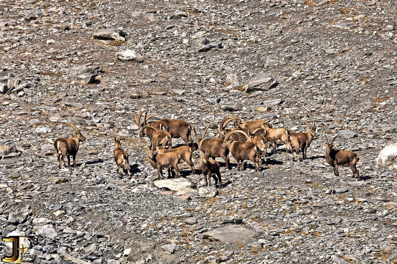 Sortie de groupe