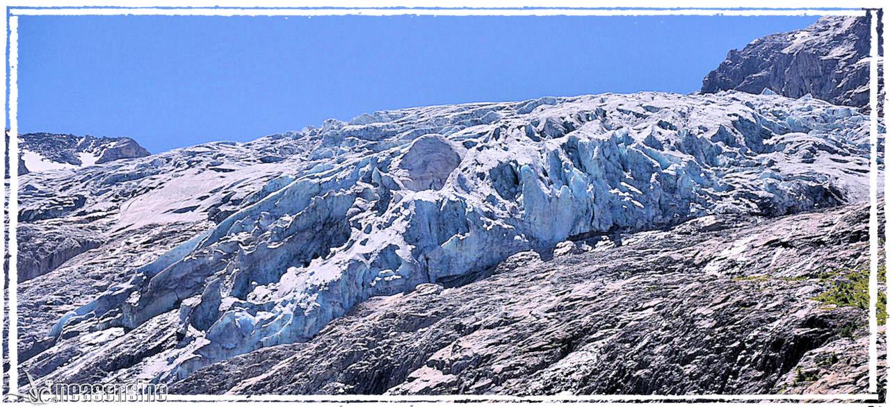 Le glacier du Trient