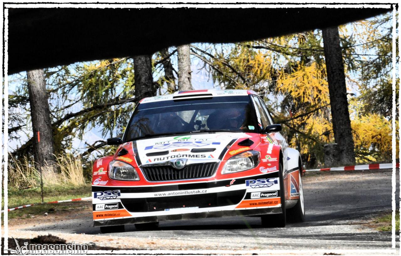 Ces artistes du volant