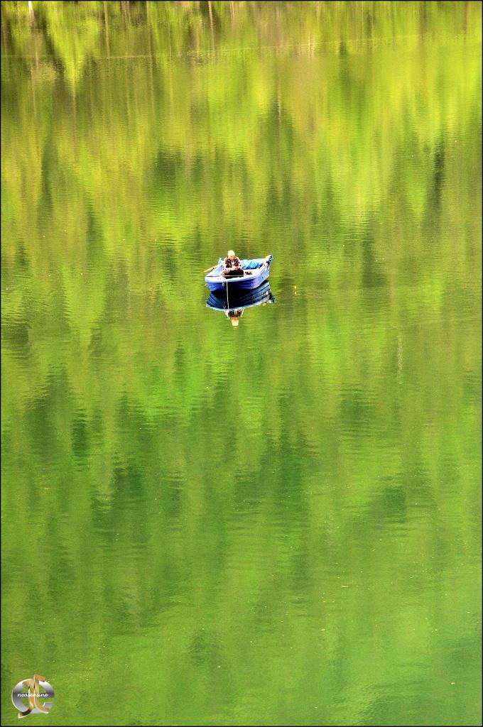 La pêche miraculeuse