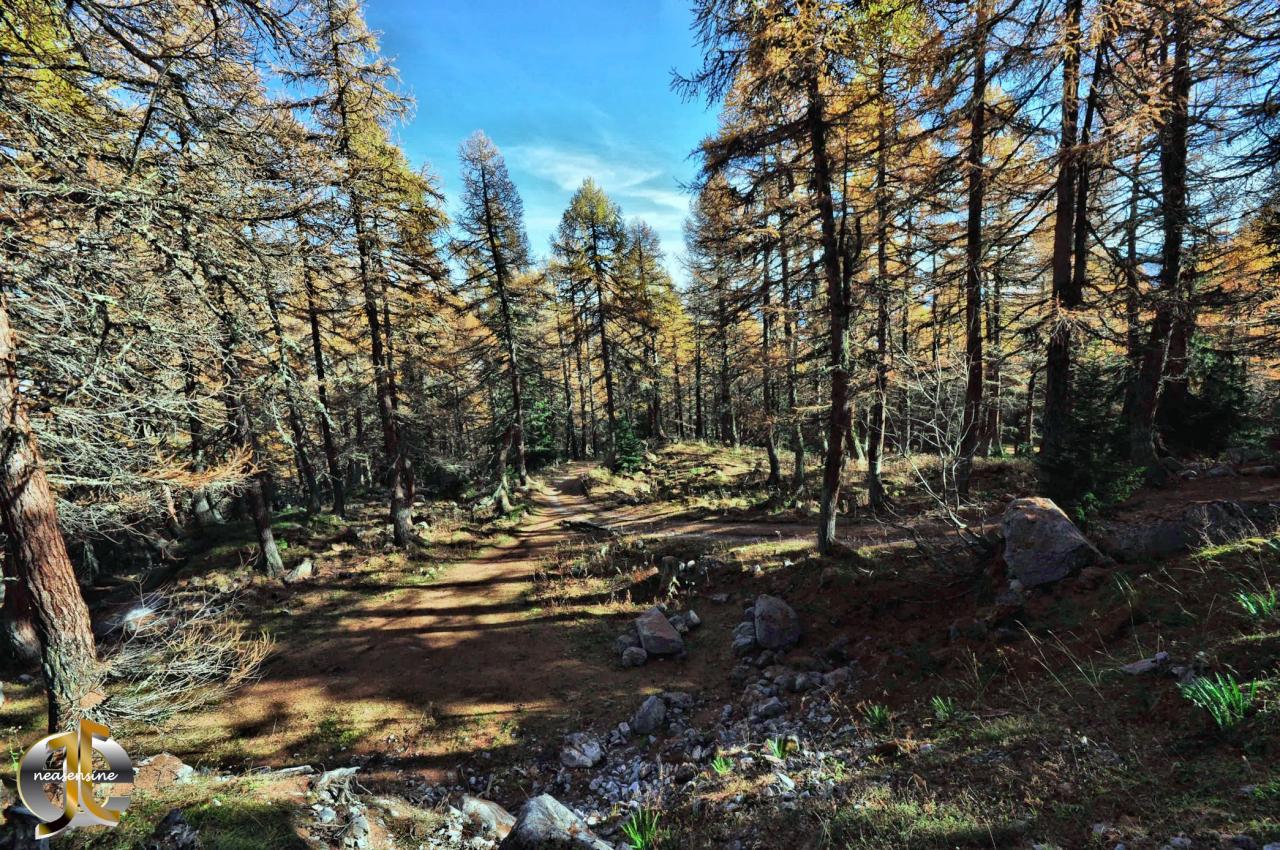 A la croisée des chemins