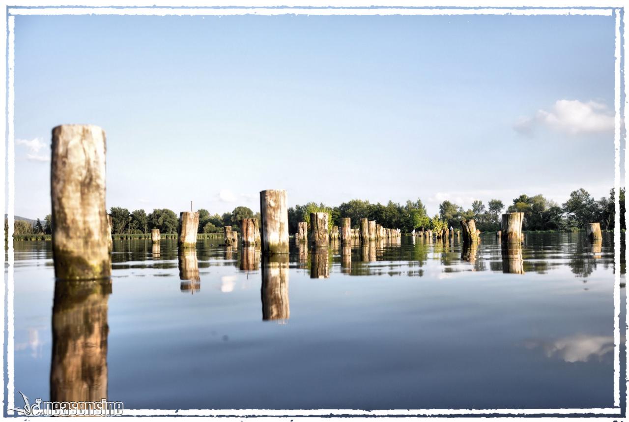 Les pieux dans l'eau