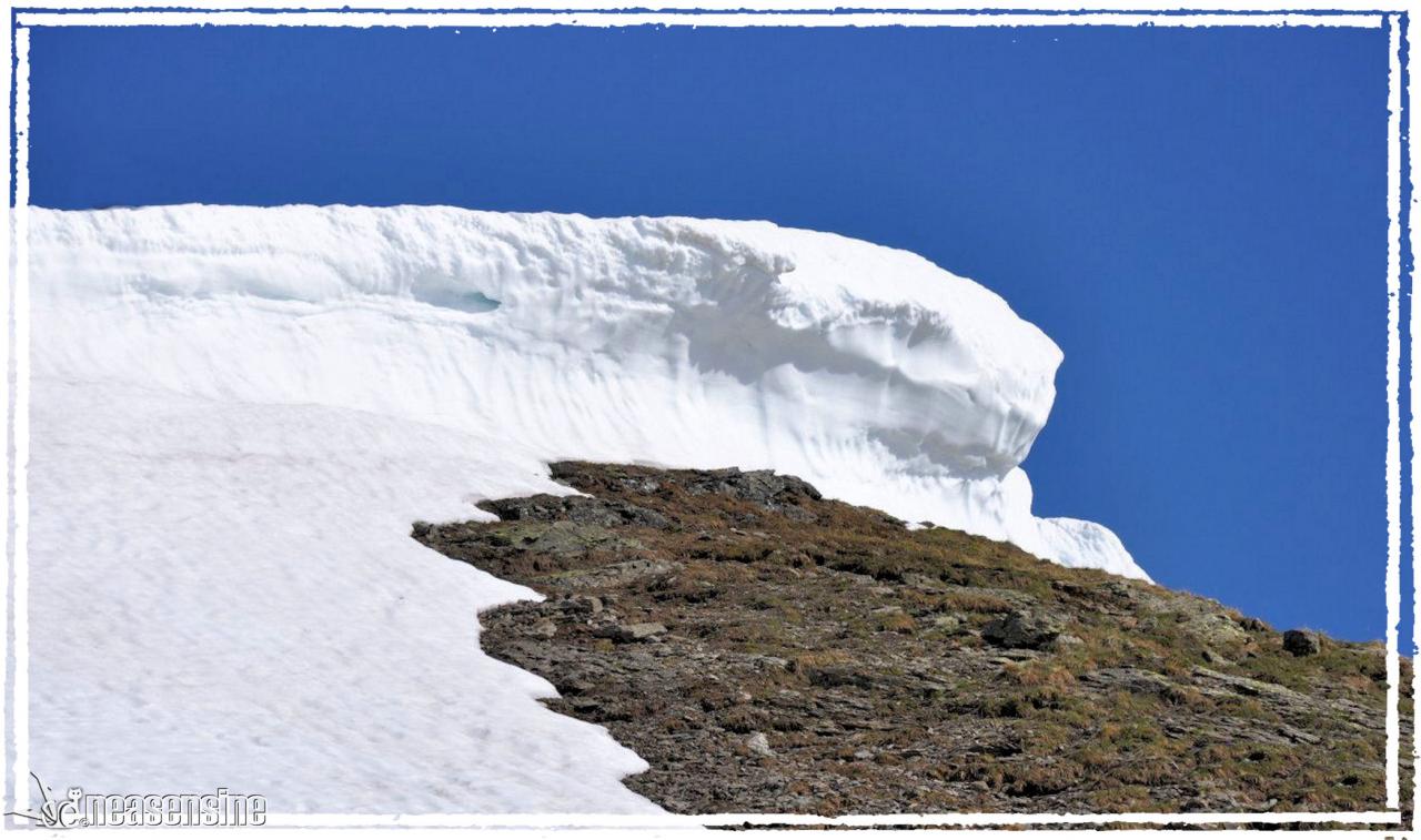 Un hiver qui ne mourra pas