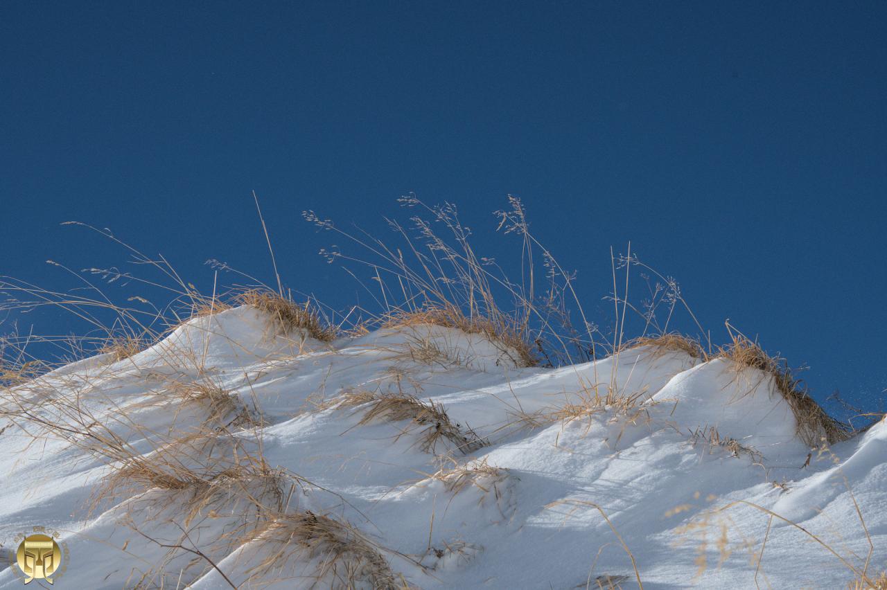 La dune blanche - art.170182