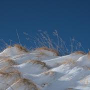 La dune blanche - art.170182