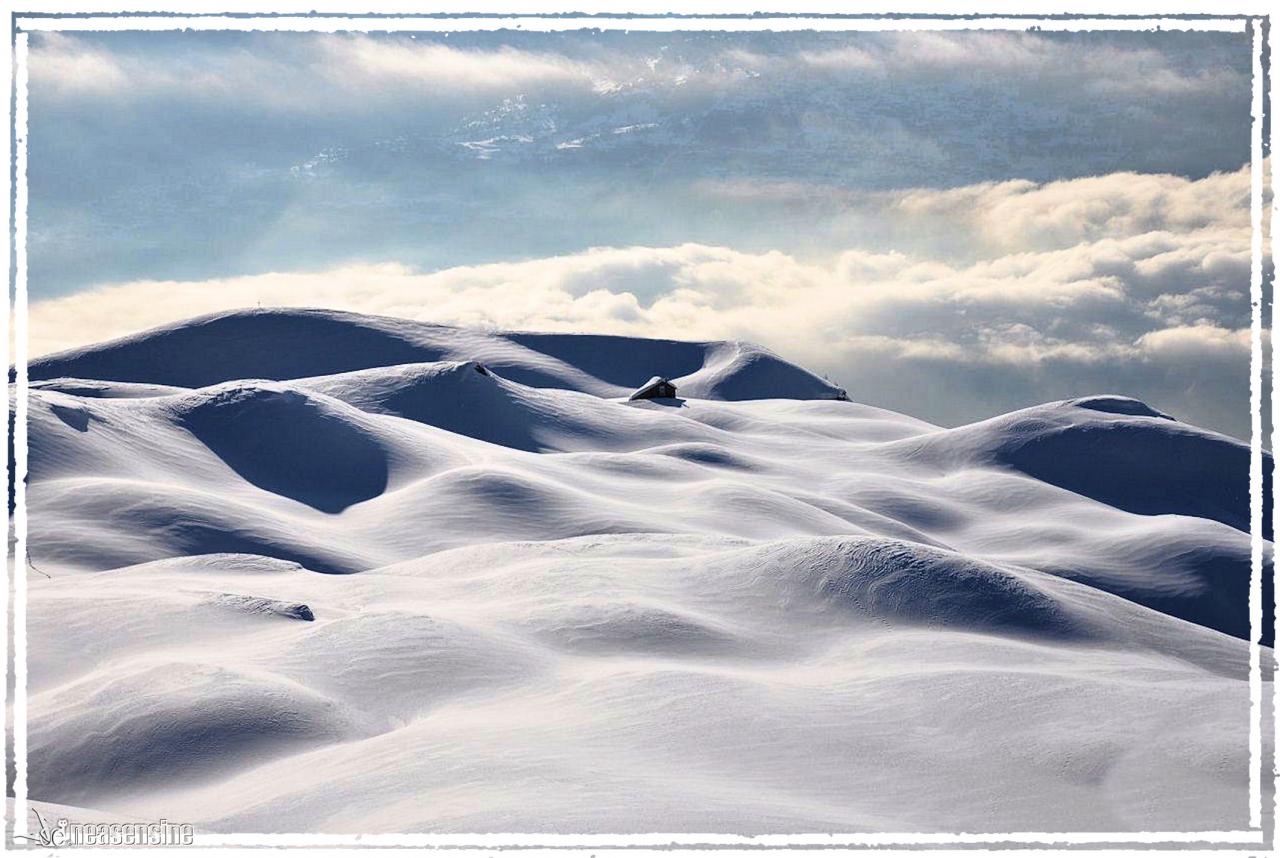 Douceur blanche