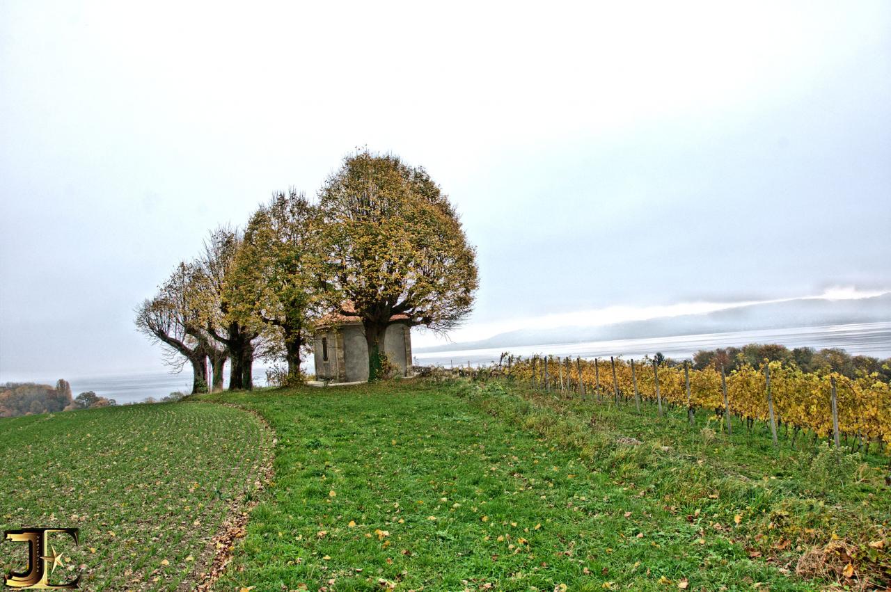 Les rives du Lac de Neuchâtel