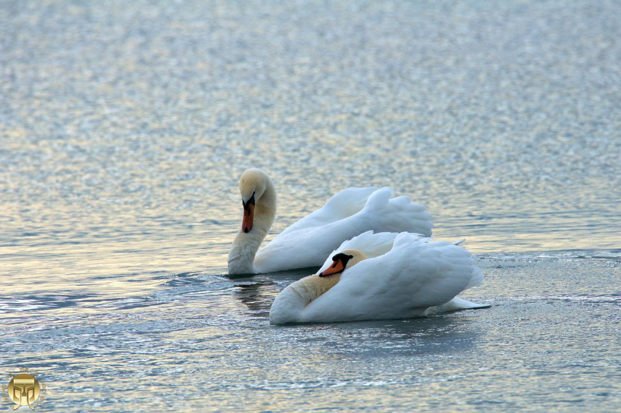 Balade romantique