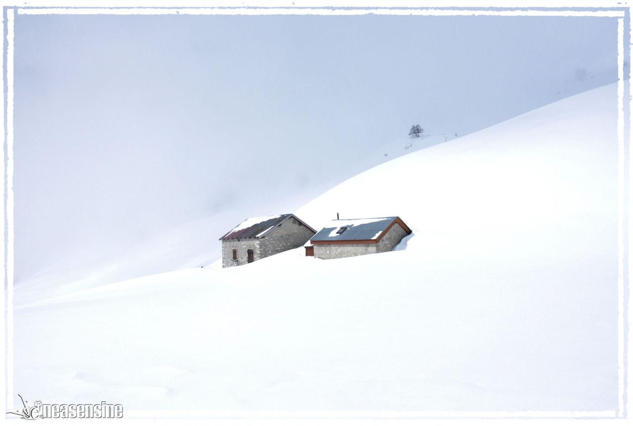 Le silence blanc