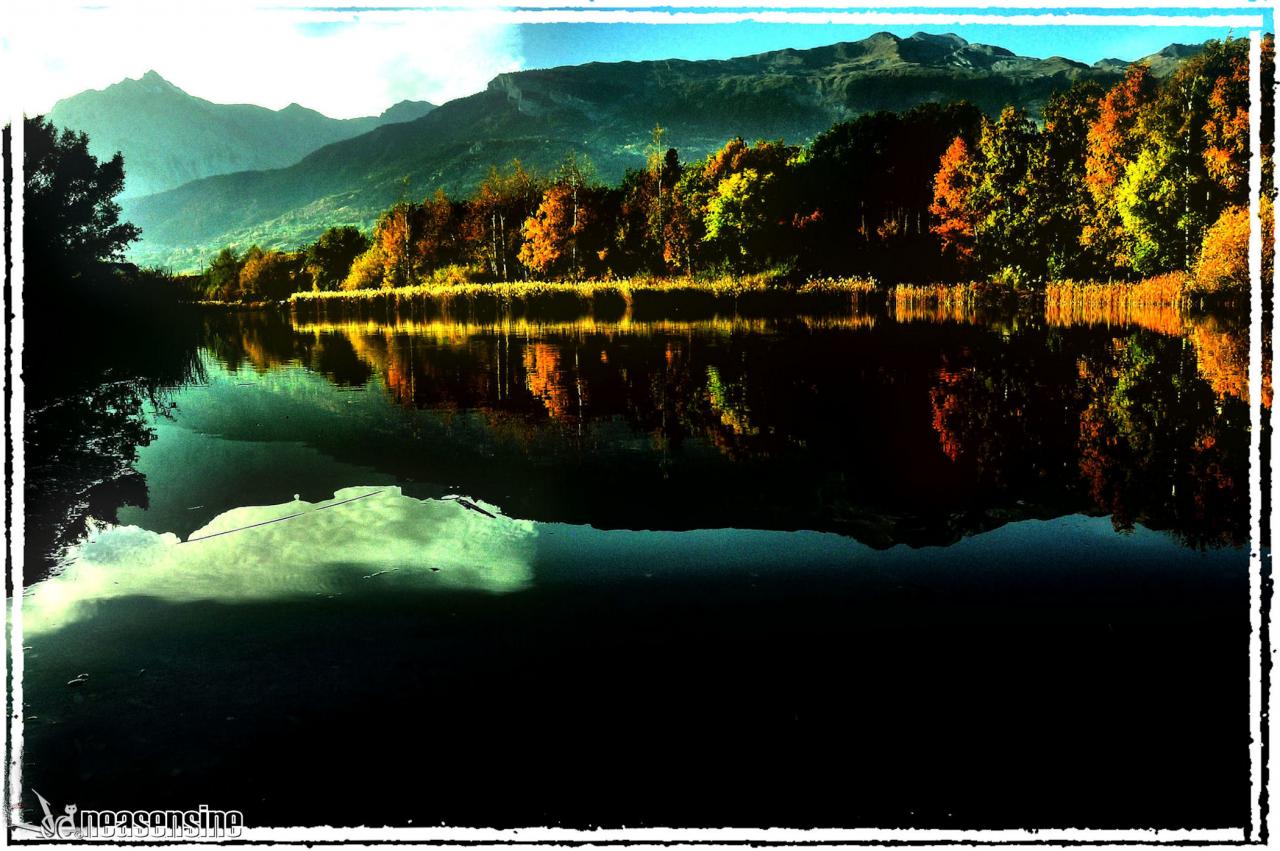 L'automne à Montorge