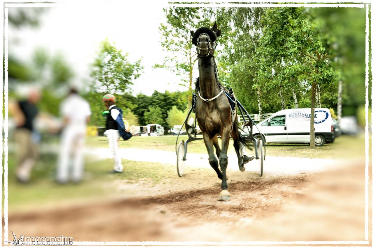 Jour de course à Divonne