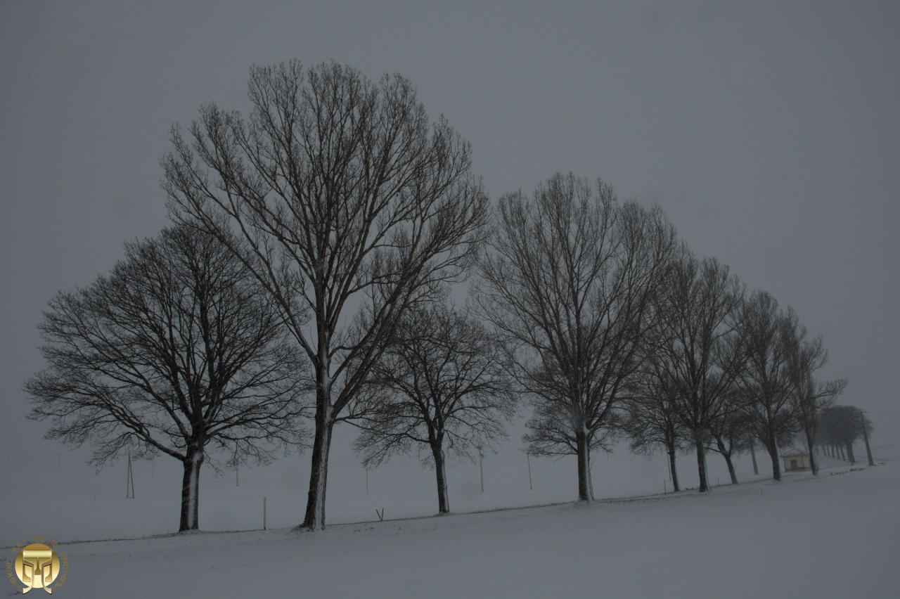 L'hiver a belle allure