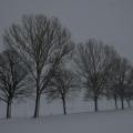 L'hiver a belle allure