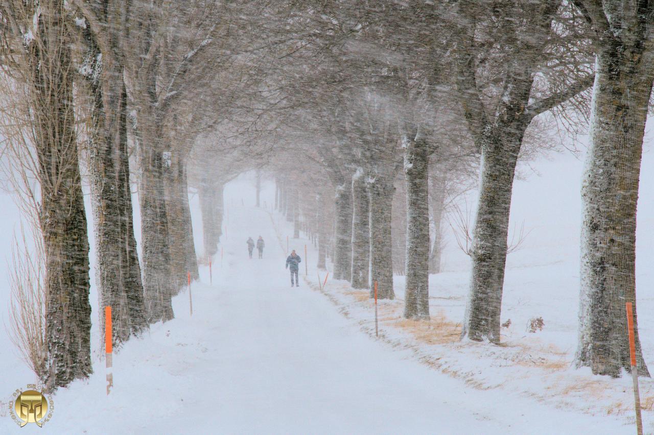 Le vent et la neige se sont unis...