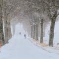 Le vent et la neige se sont unis...