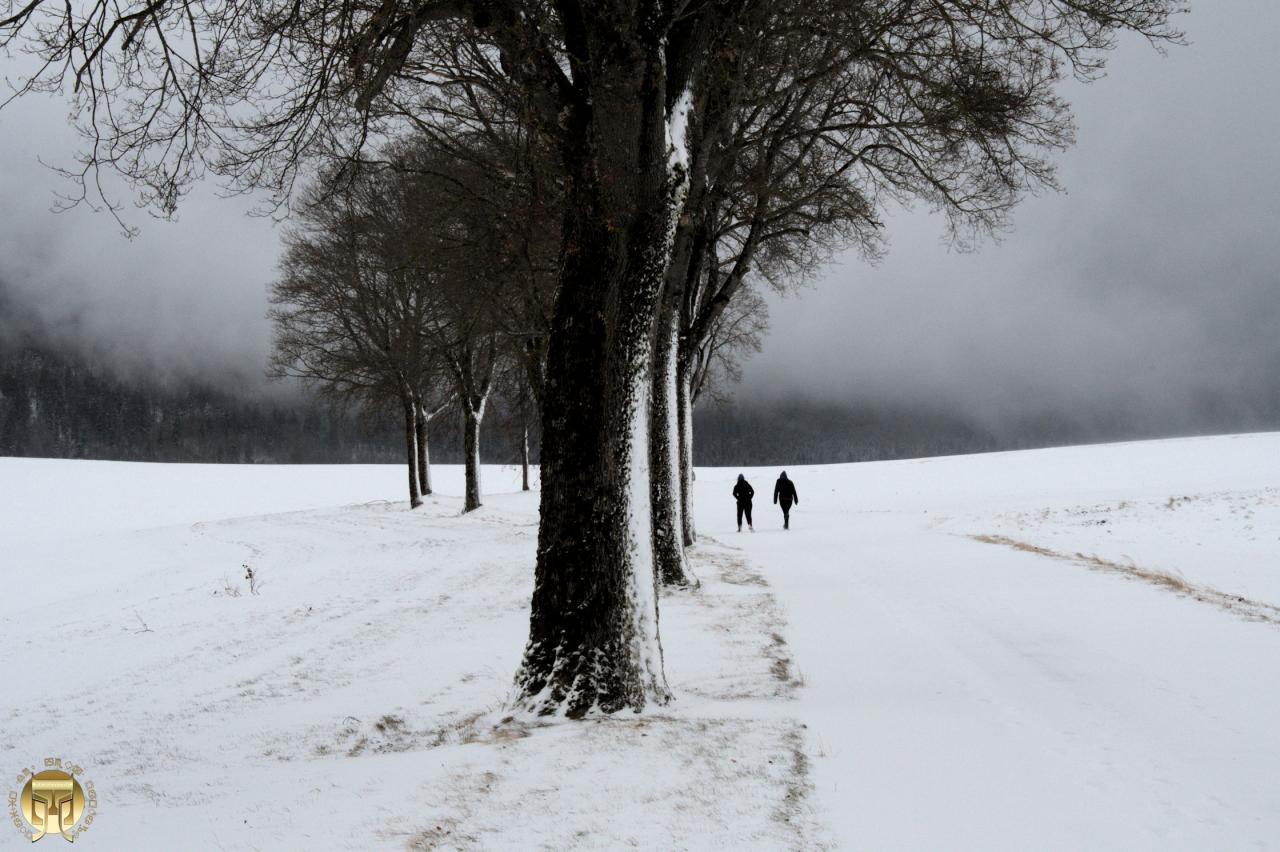 En quête de sérénité