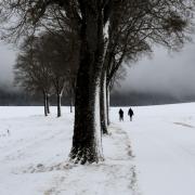 En quête de sérénité
