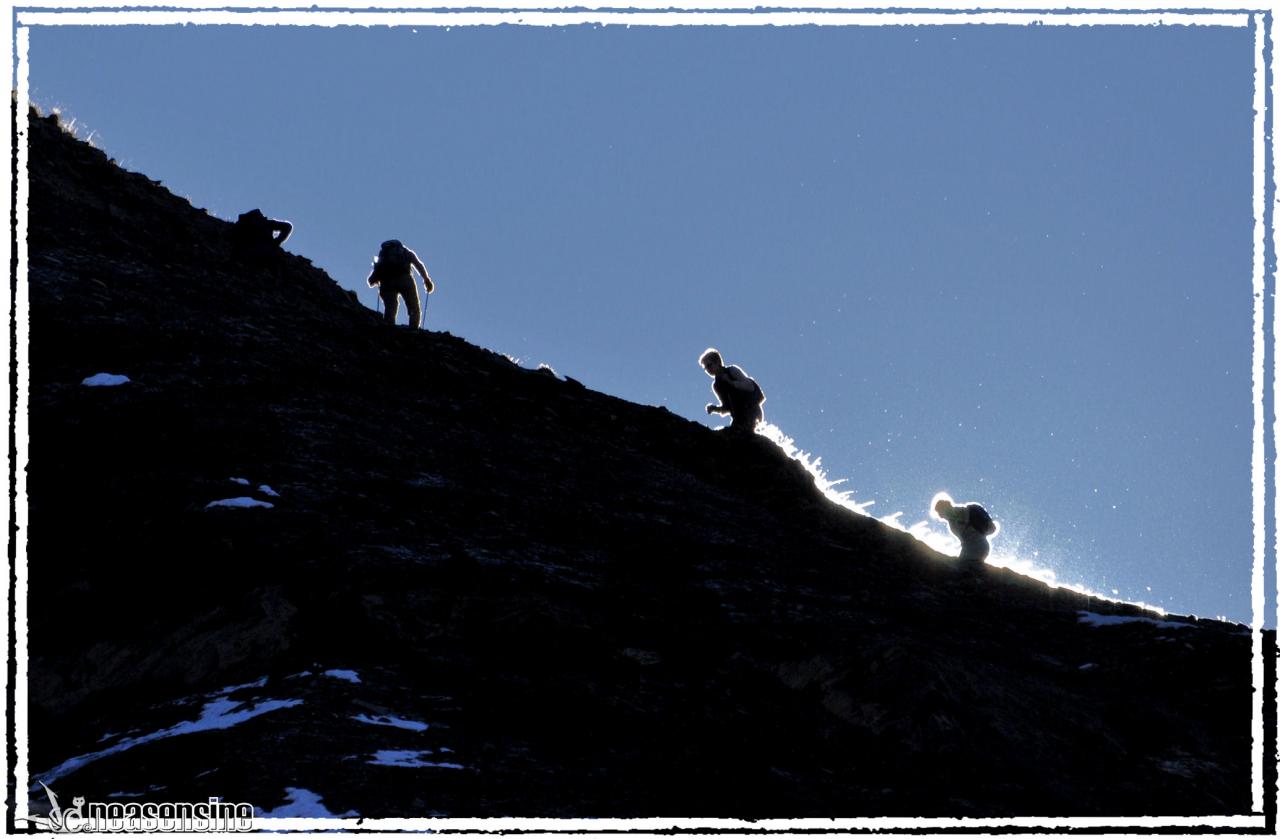 La marche blanche