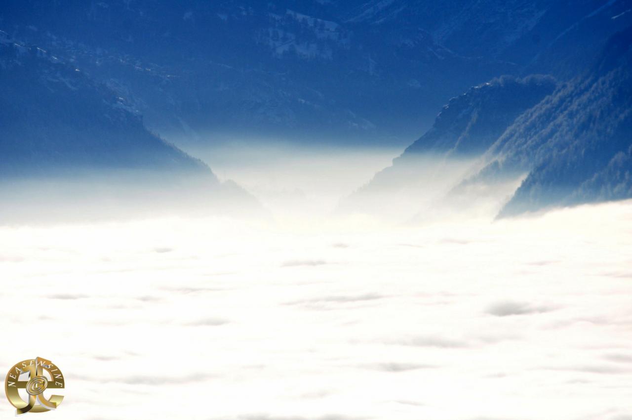 Passerelle de brume