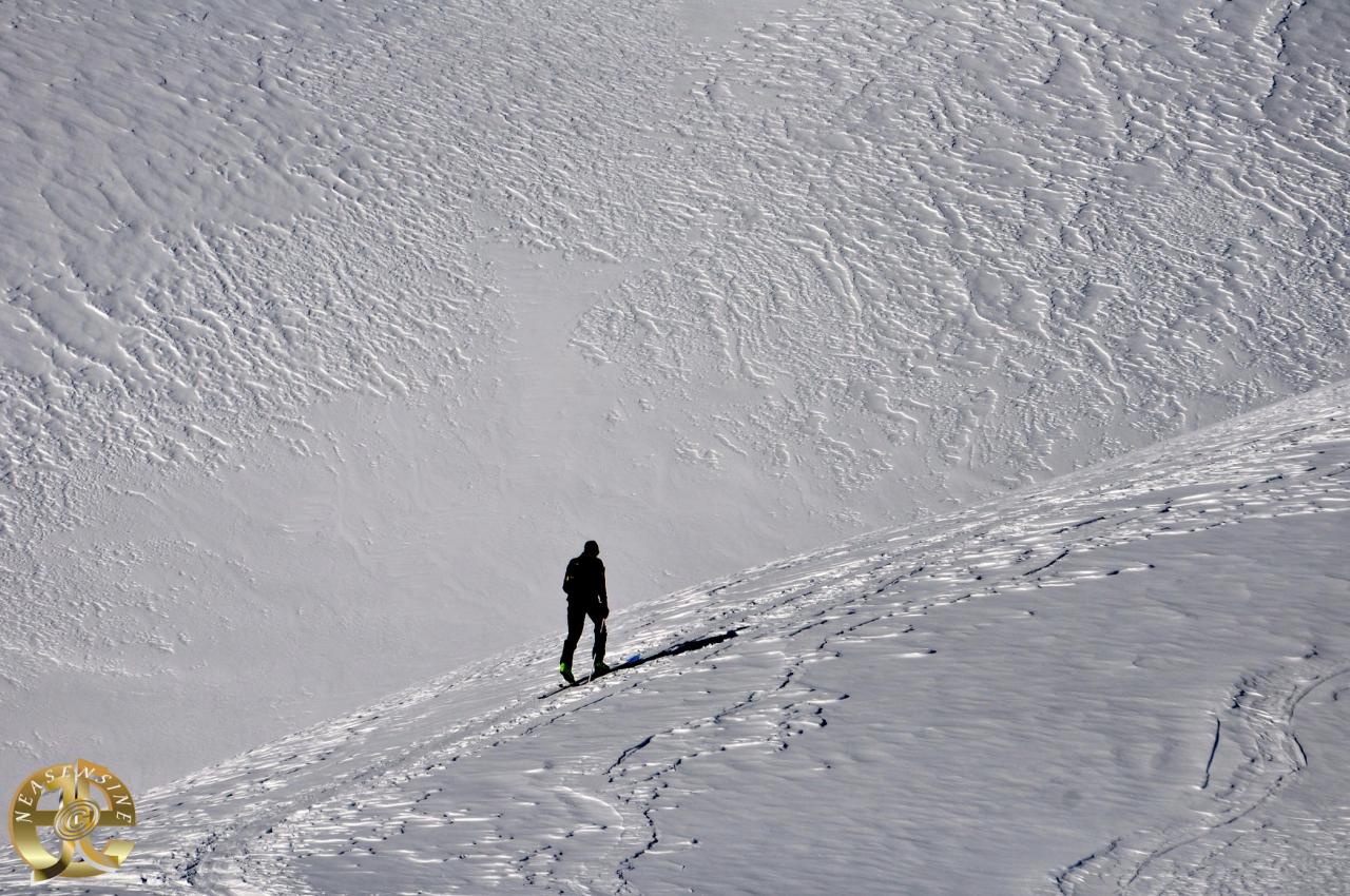 Face au mur blanc