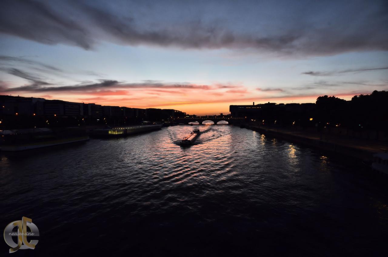 Seine en vie à Paris