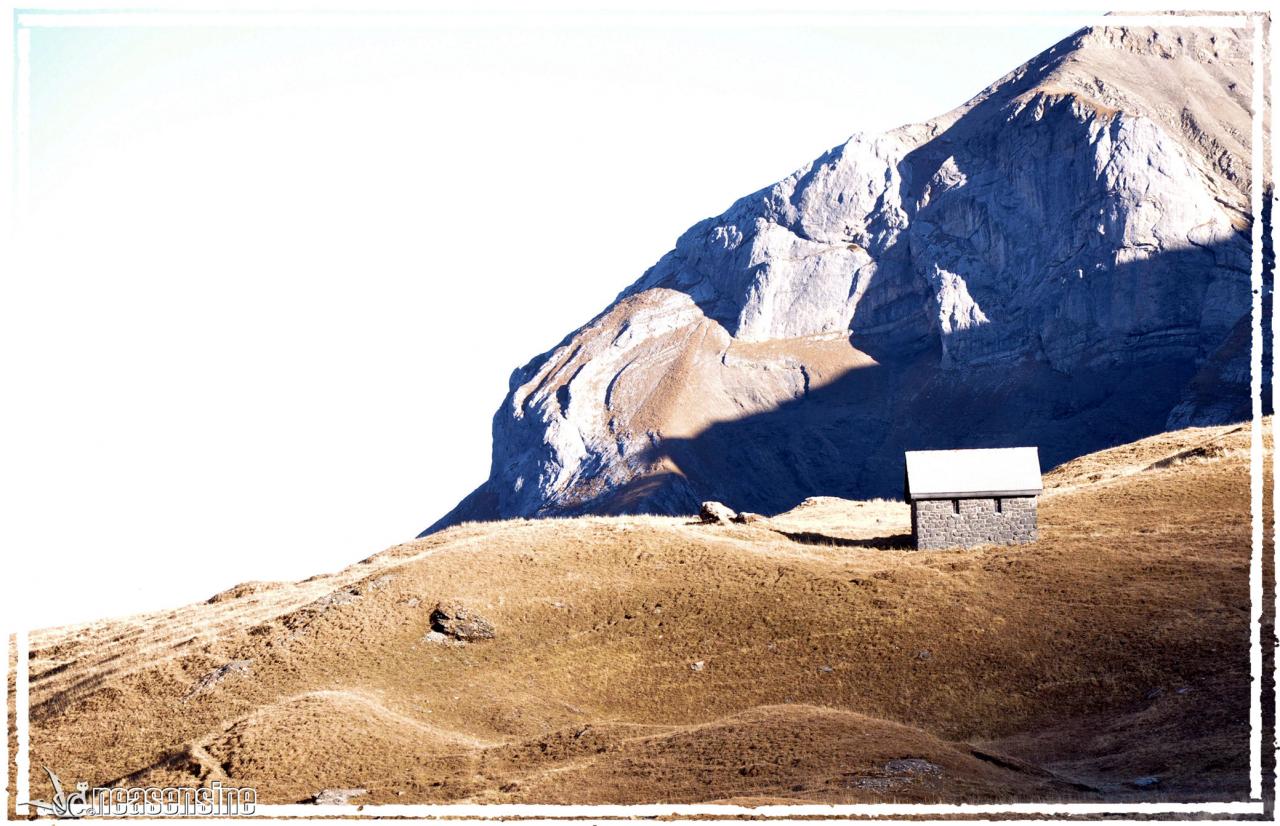 La petite maison dans la prairie