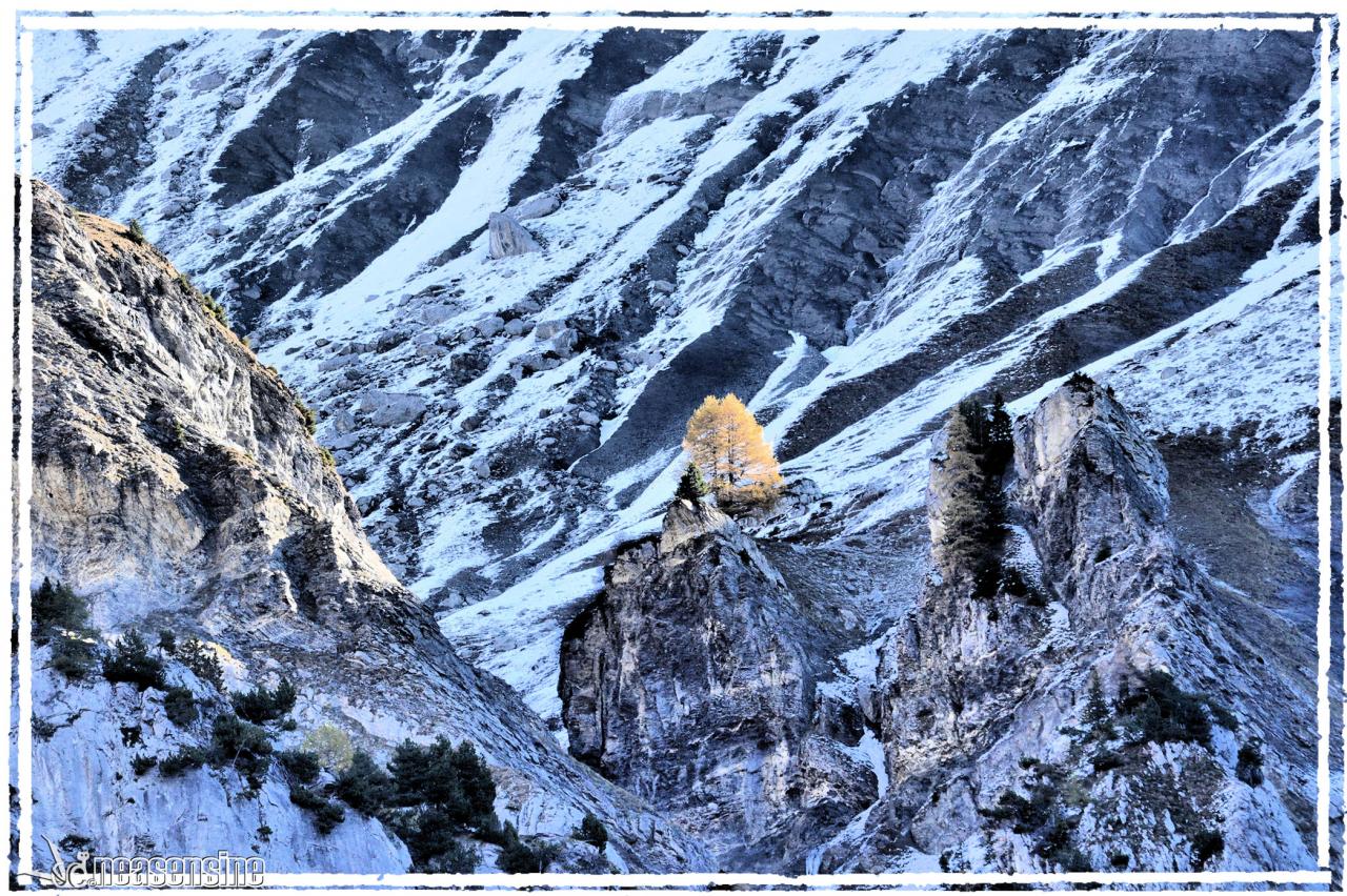 Les aiguilles d'Or du vallon de Mié