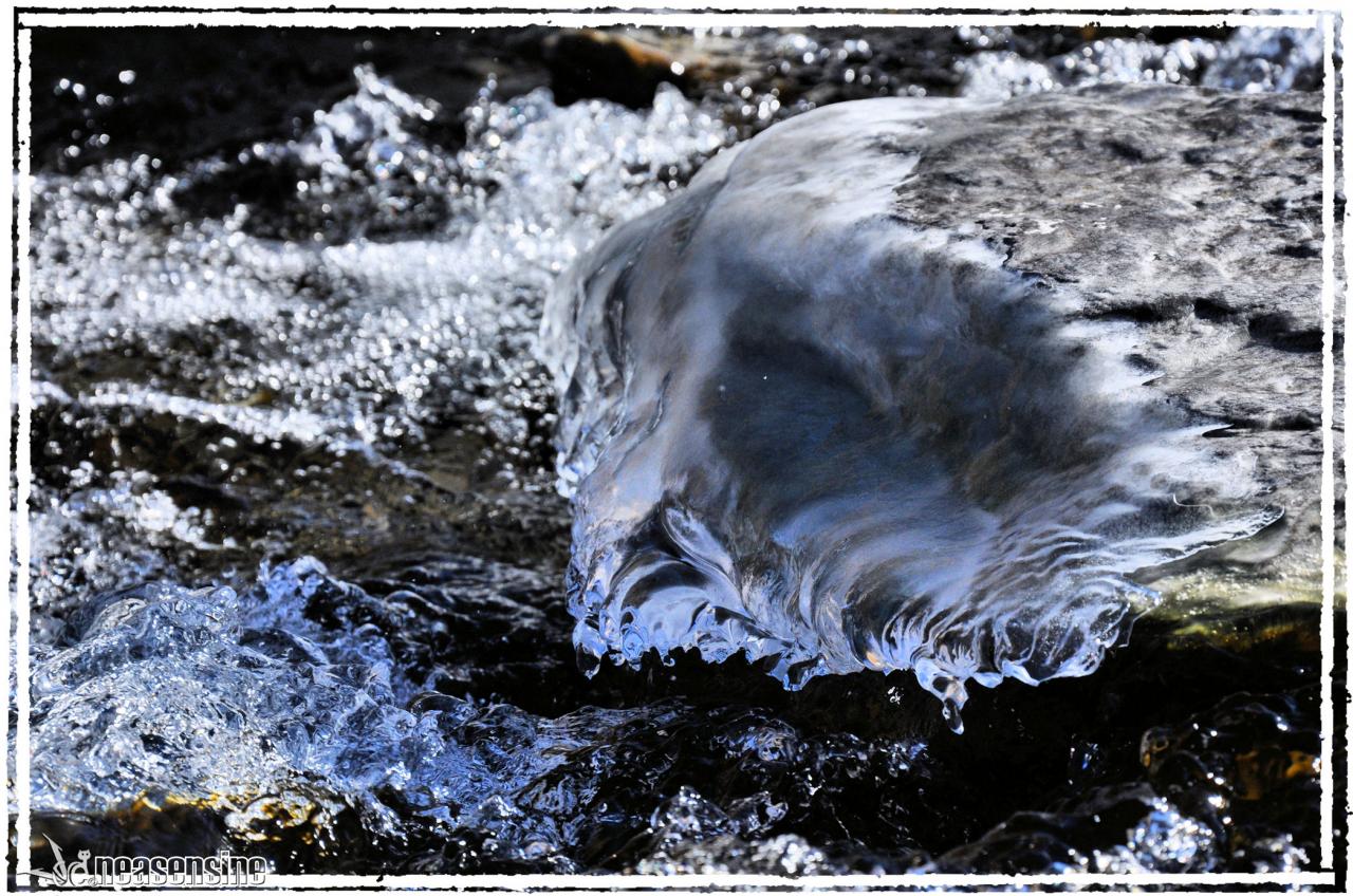 Armure de glace