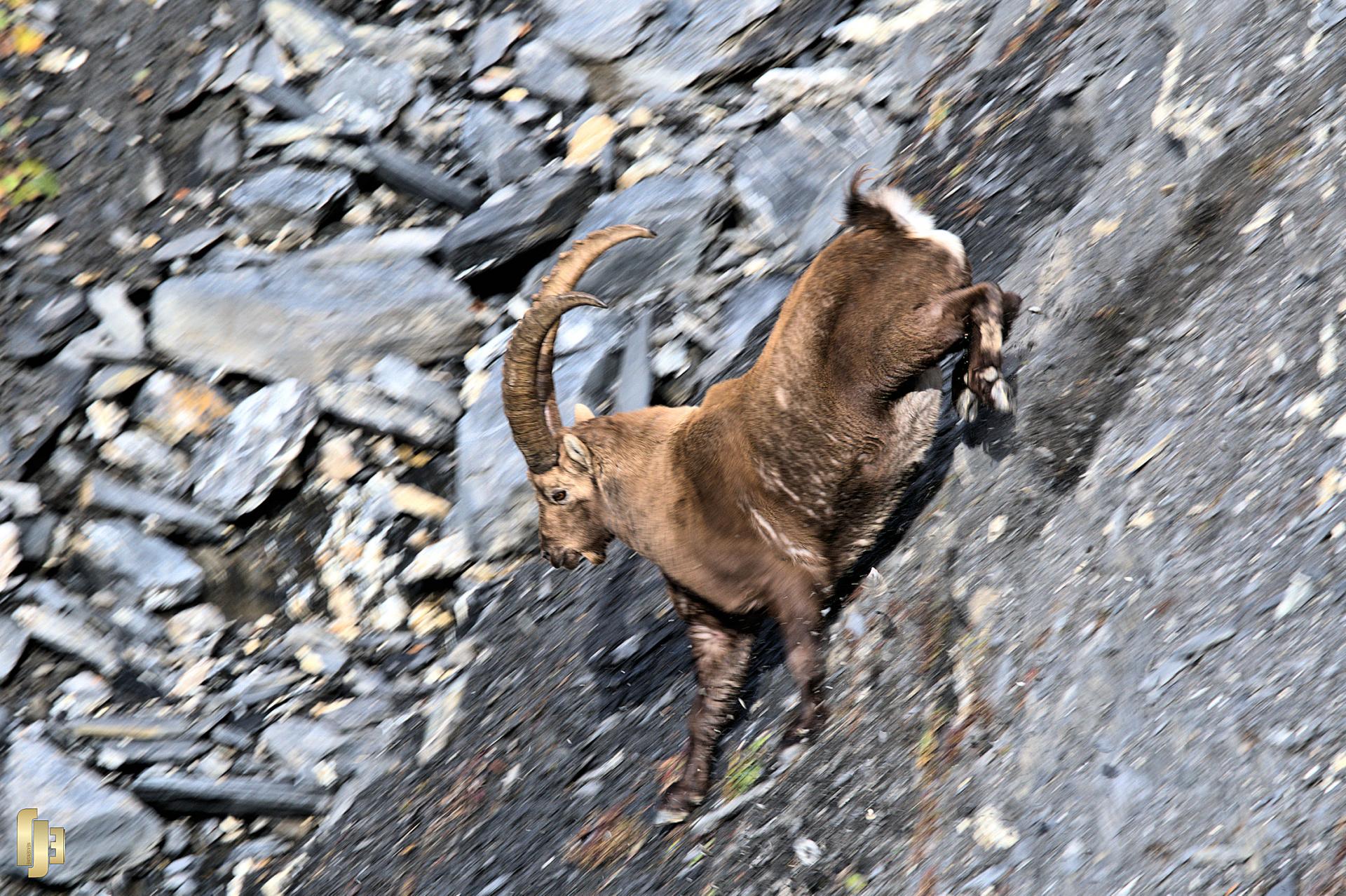 Descente à fond