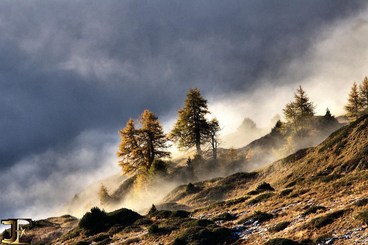 Poussière de brume