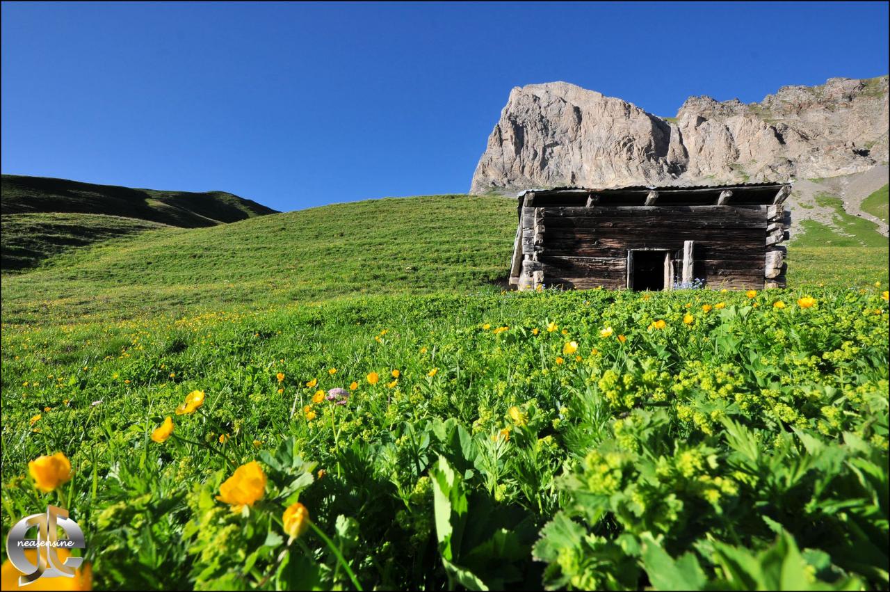 La petite cahute dans la prairie