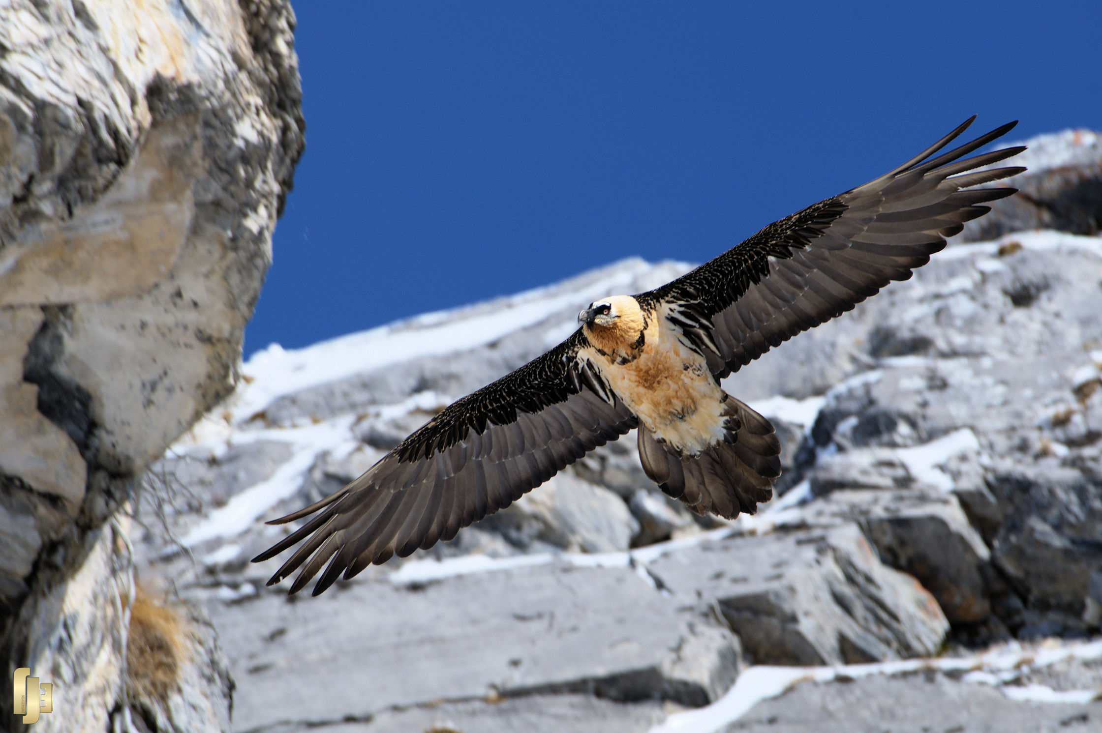 L'éboueur des Alpes