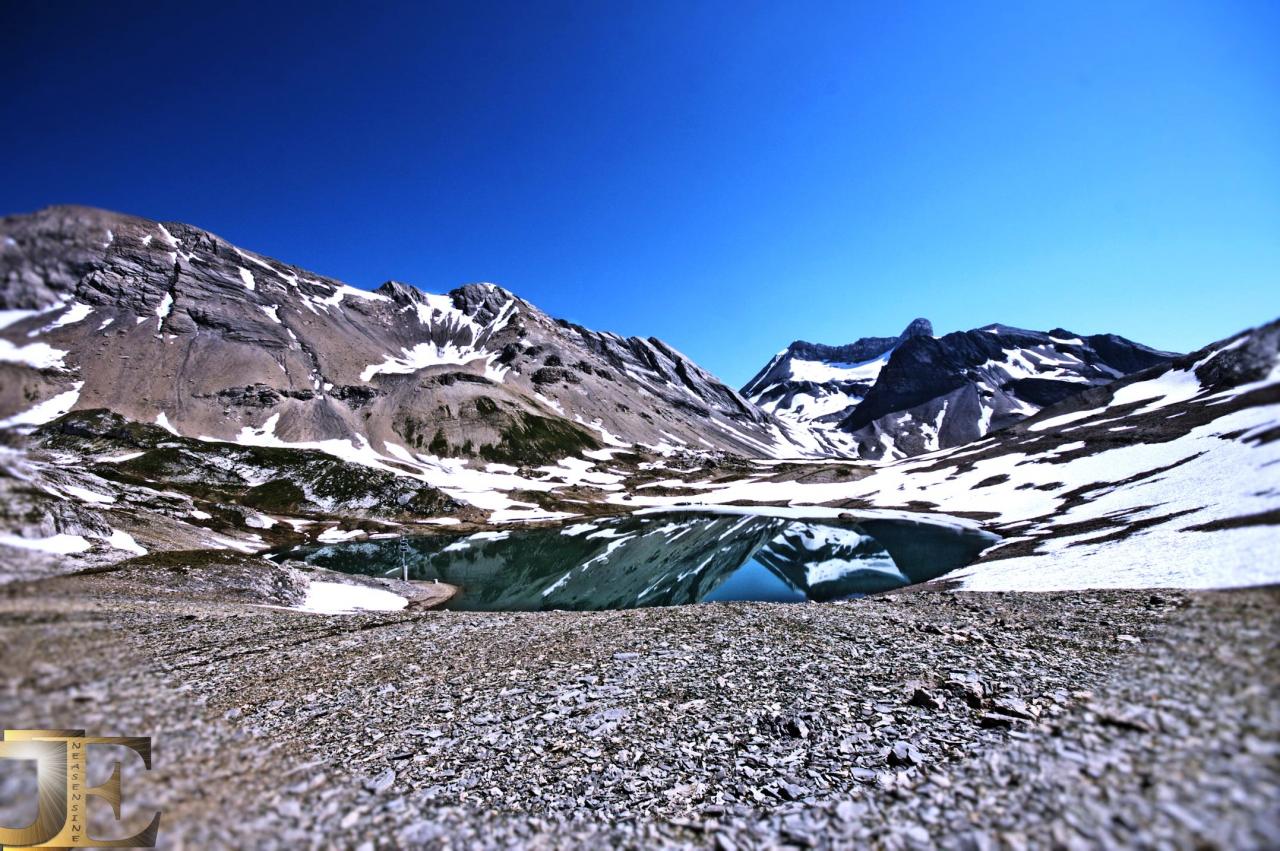 Oasis de fraîcheur