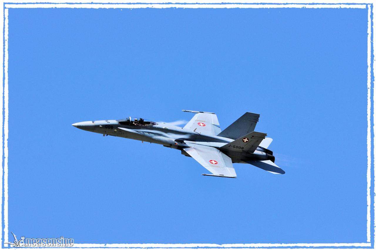 FA-18 Hornet (Sion Air Show 2011)