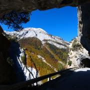 L'automne sort du tunnel - art.201014