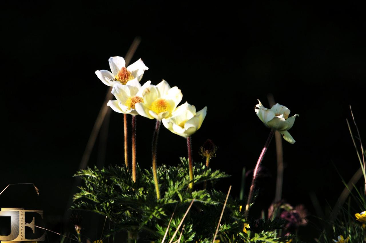 Dernière caresse du soleil