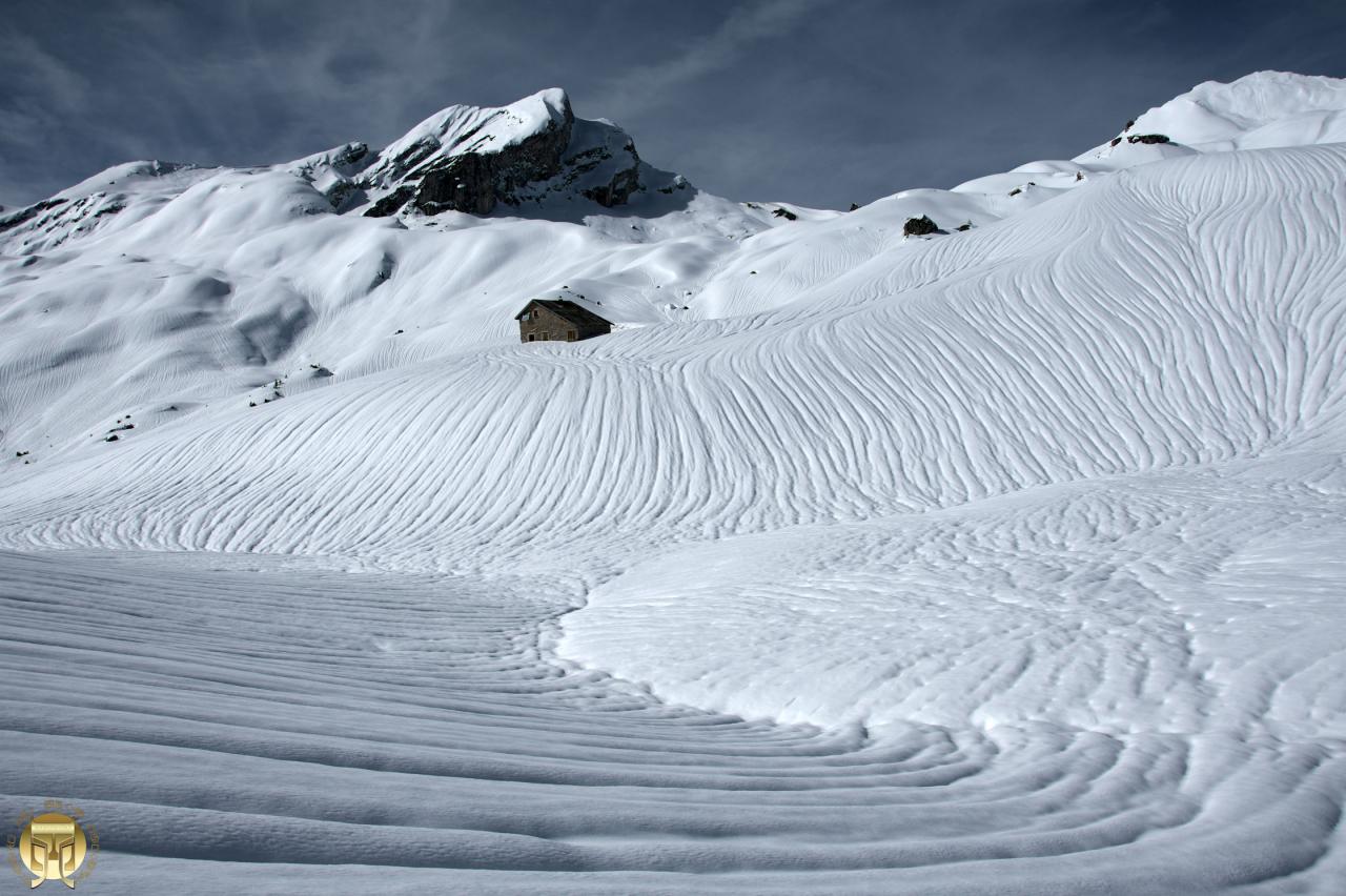 La crème du Larzey