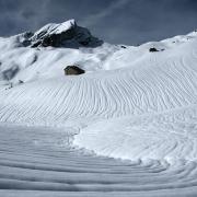 La crème du Larzey