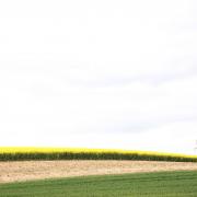 La croûte terrestre