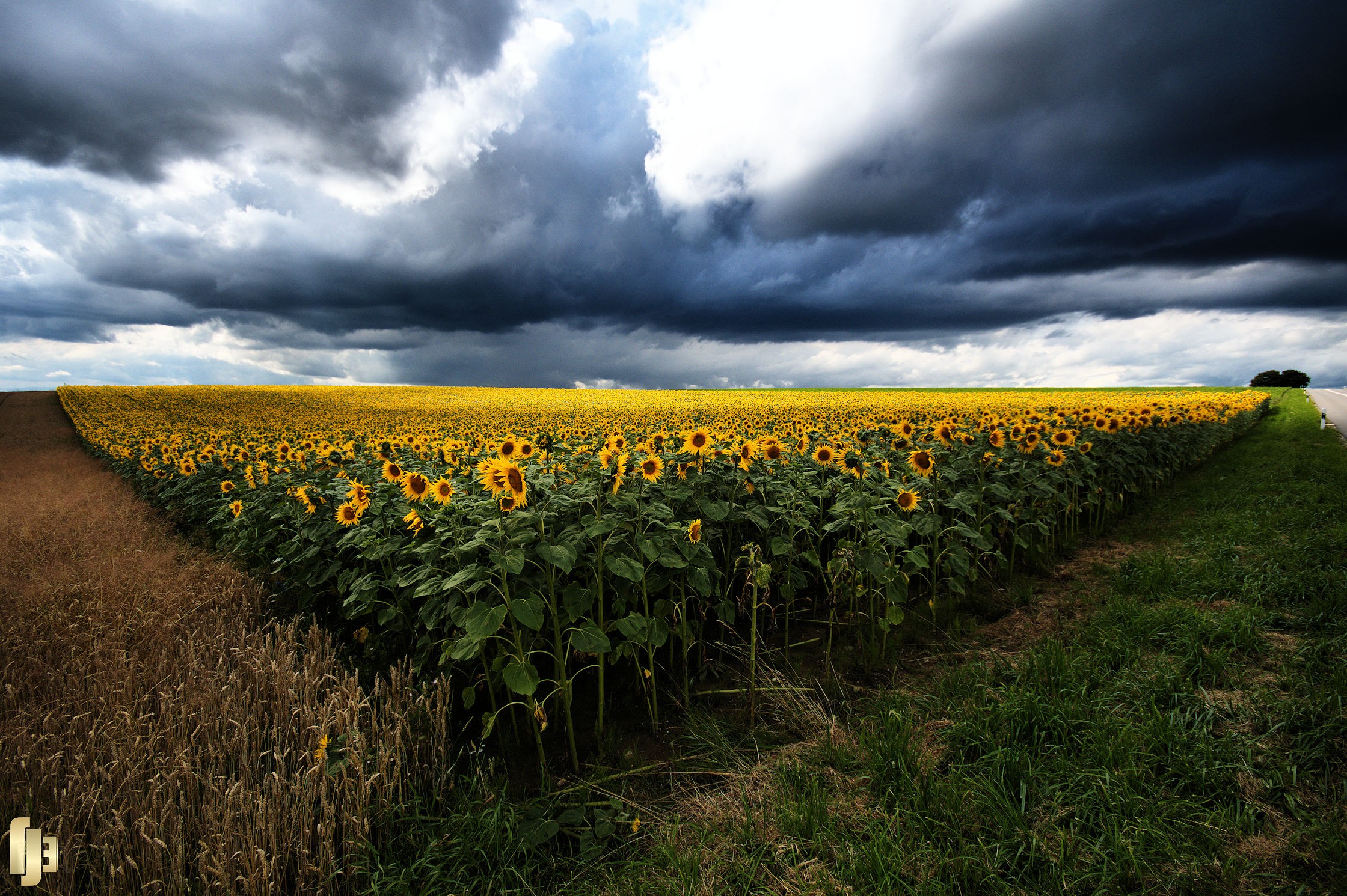 Le temps est à l'orage - art.210722