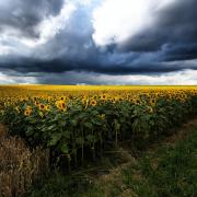 Le temps est à l'orage - art.210722