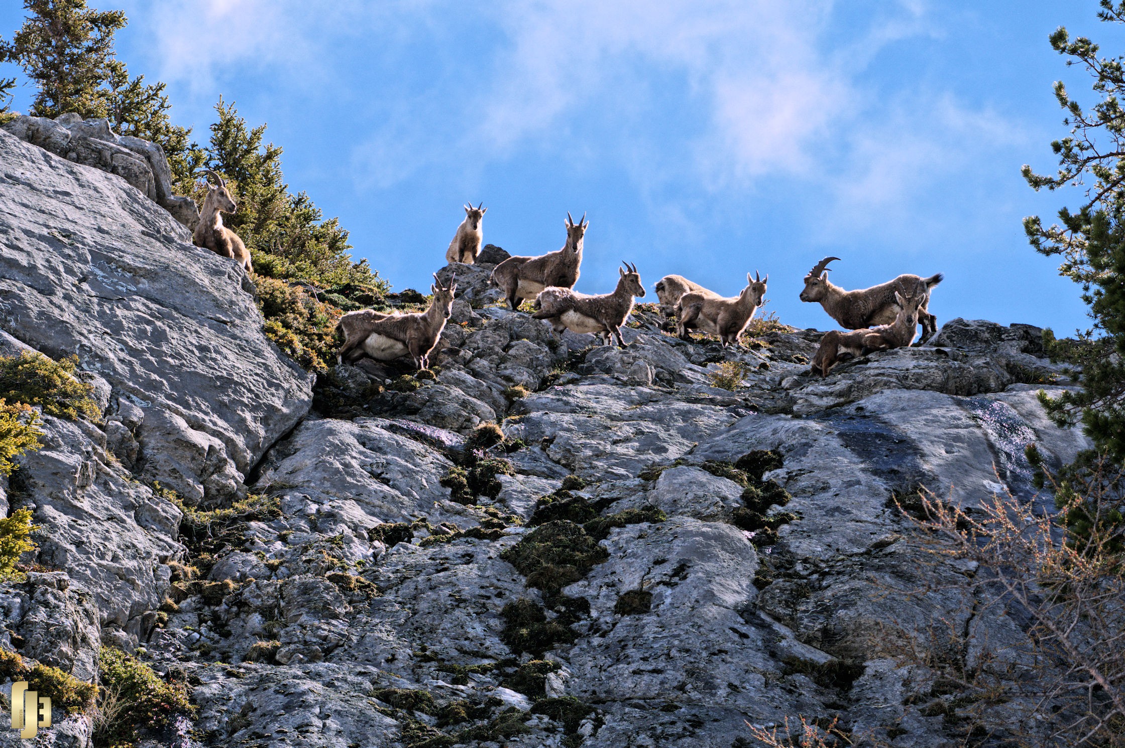 En famille