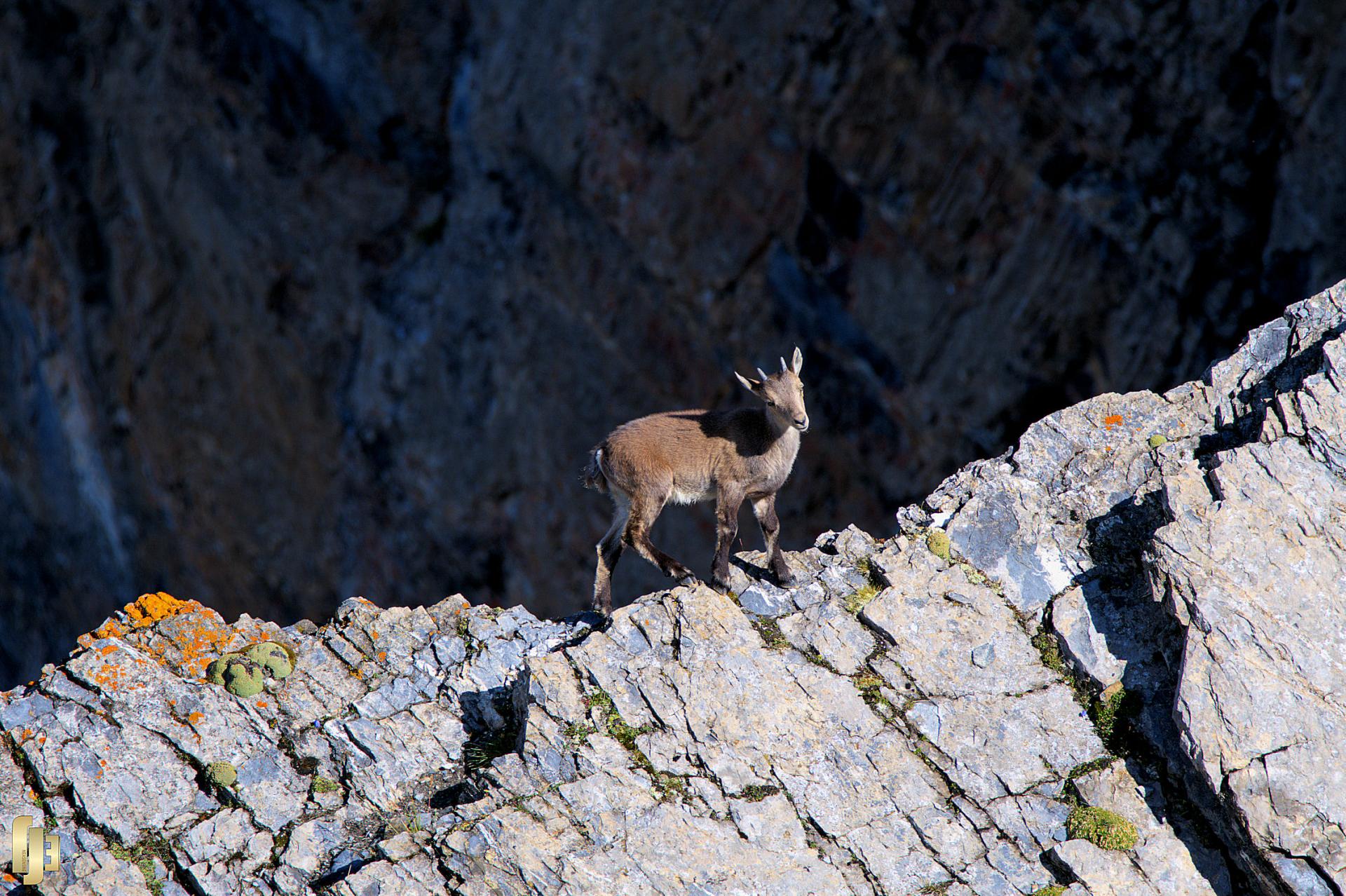 Promenade sur l'arête